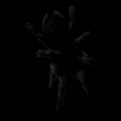 Dethcentrik : The Dark Chronicles